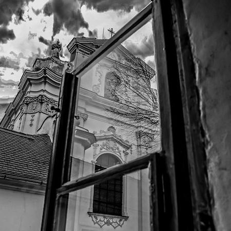 Penzion U Borovicku Litomerice Luaran gambar