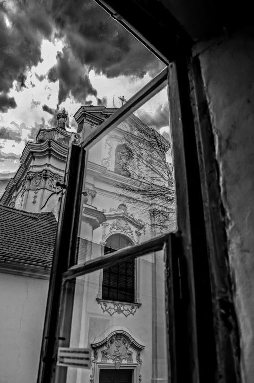 Penzion U Borovicku Litomerice Luaran gambar
