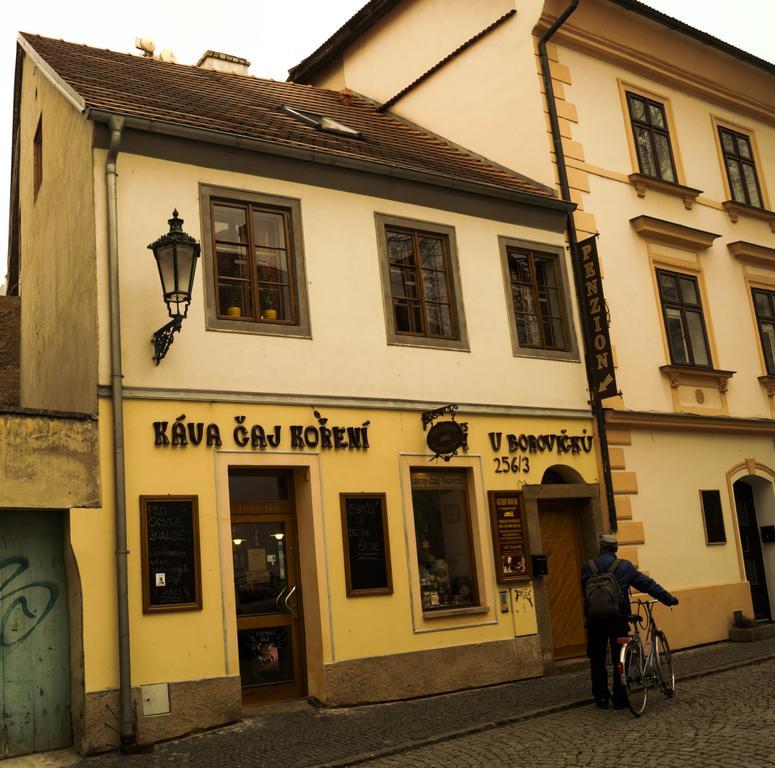 Penzion U Borovicku Litomerice Luaran gambar