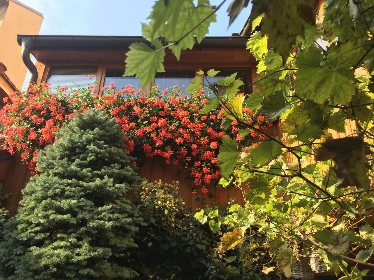 Penzion U Borovicku Litomerice Luaran gambar